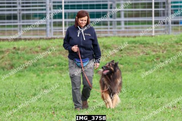 IMG_3758.jpg