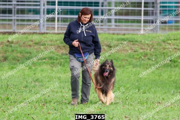IMG_3765.jpg