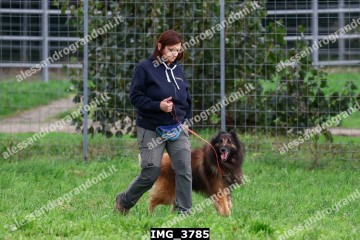 IMG_3785.jpg