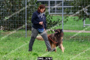 IMG_3787.jpg