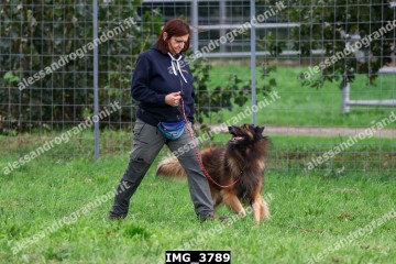 IMG_3789.jpg