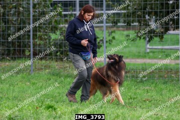 IMG_3793.jpg