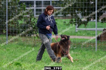 IMG_3797.jpg