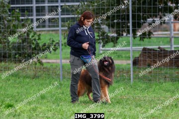 IMG_3799.jpg