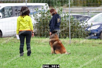 IMG_3814.jpg