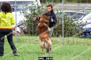 IMG_3835.jpg