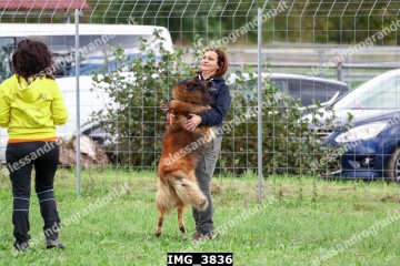 IMG_3836.jpg