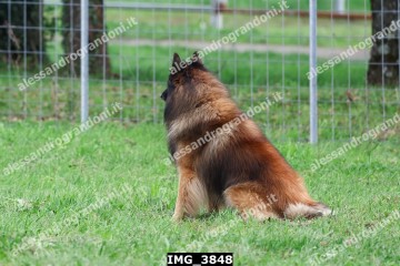 IMG_3848.jpg