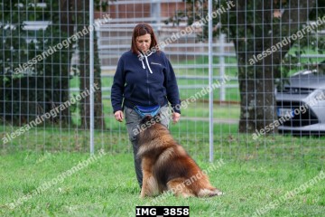IMG_3858.jpg