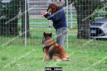 IMG_3866.jpg