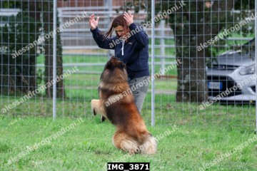 IMG_3871.jpg