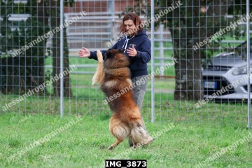 IMG_3873.jpg