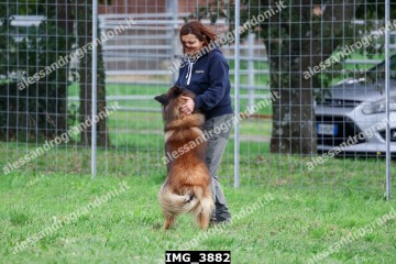 IMG_3882.jpg