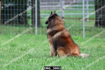 IMG_3901.jpg