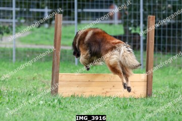 IMG_3916.jpg