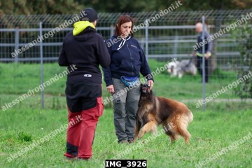 IMG_3926.jpg