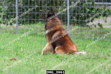 IMG_3961.jpg