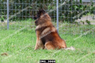 IMG_3969.jpg