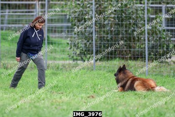IMG_3976.jpg