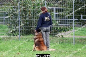 IMG_3980.jpg