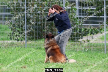 IMG_3984.jpg