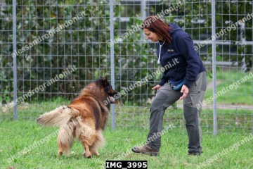 IMG_3995.jpg