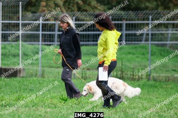 IMG_4276.jpg