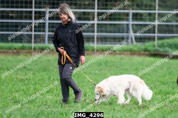 IMG_4296.jpg