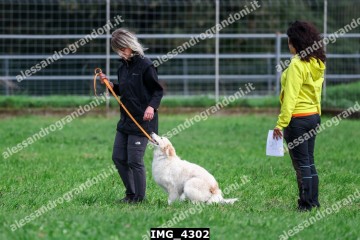 IMG_4302.jpg