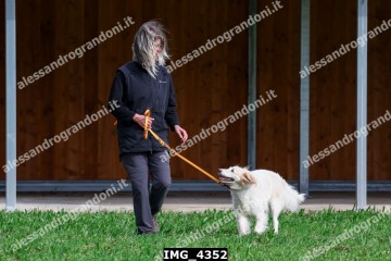 IMG_4352.jpg