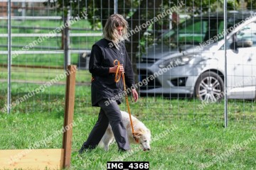IMG_4368.jpg