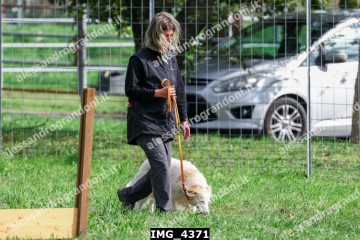 IMG_4371.jpg