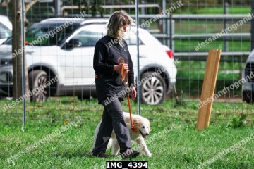IMG_4394.jpg