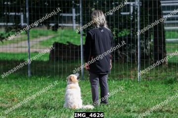 IMG_4626.jpg