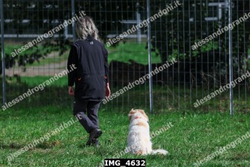 IMG_4632.jpg