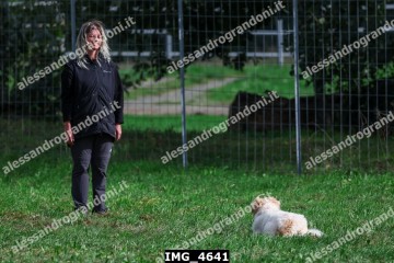 IMG_4641.jpg