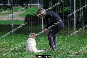 IMG_4670.jpg