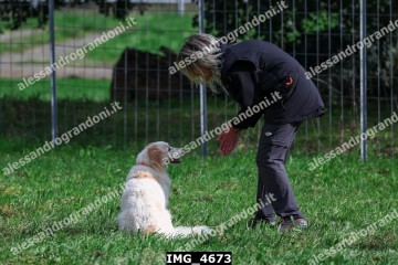 IMG_4673.jpg