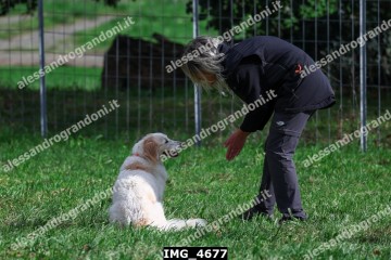 IMG_4677.jpg