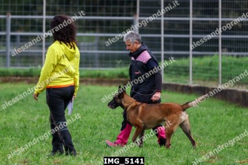 IMG_5141.jpg