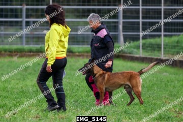 IMG_5145.jpg