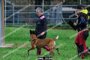IMG_5150.jpg