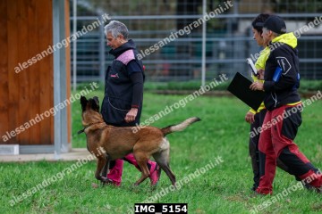 IMG_5154.jpg