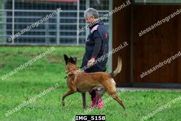 IMG_5158.jpg