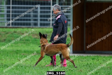 IMG_5160.jpg