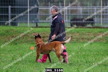 IMG_5168.jpg