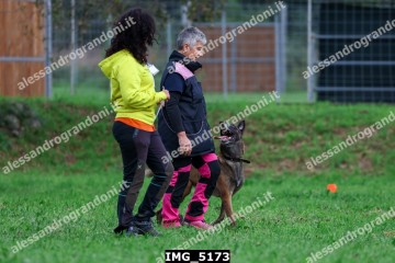 IMG_5173.jpg
