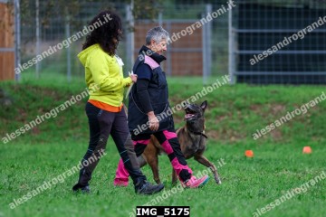 IMG_5175.jpg