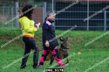IMG_5178.jpg