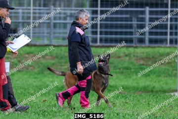IMG_5186.jpg